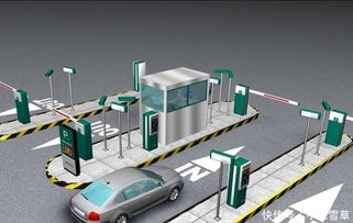 駕照考試再升級 科目二新項目引熱議，老司機亦嘆不易